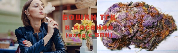 бошки Заводоуковск