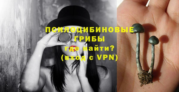бошки Заводоуковск